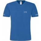 color:royal